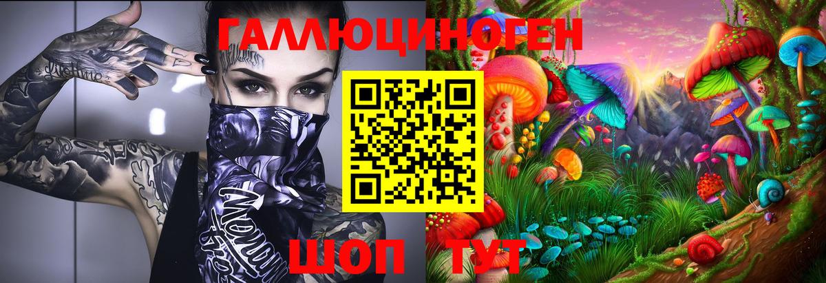 Галлюциногенные грибы GOLDEN TEACHER  где купить наркоту  Кузнецк  Вход с VPN  Псилоцибиновые грибы прущие грибы 