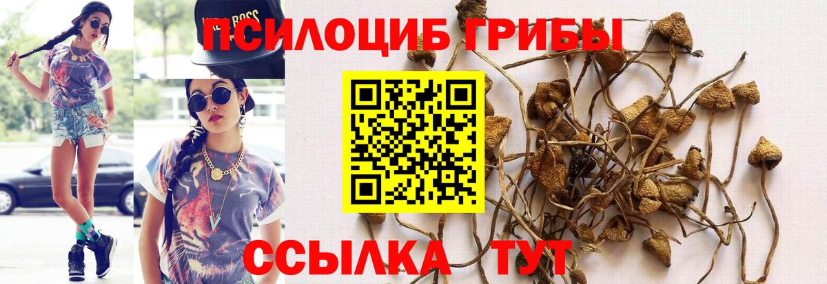 Псилоцибиновые грибы GOLDEN TEACHER Кузнецк