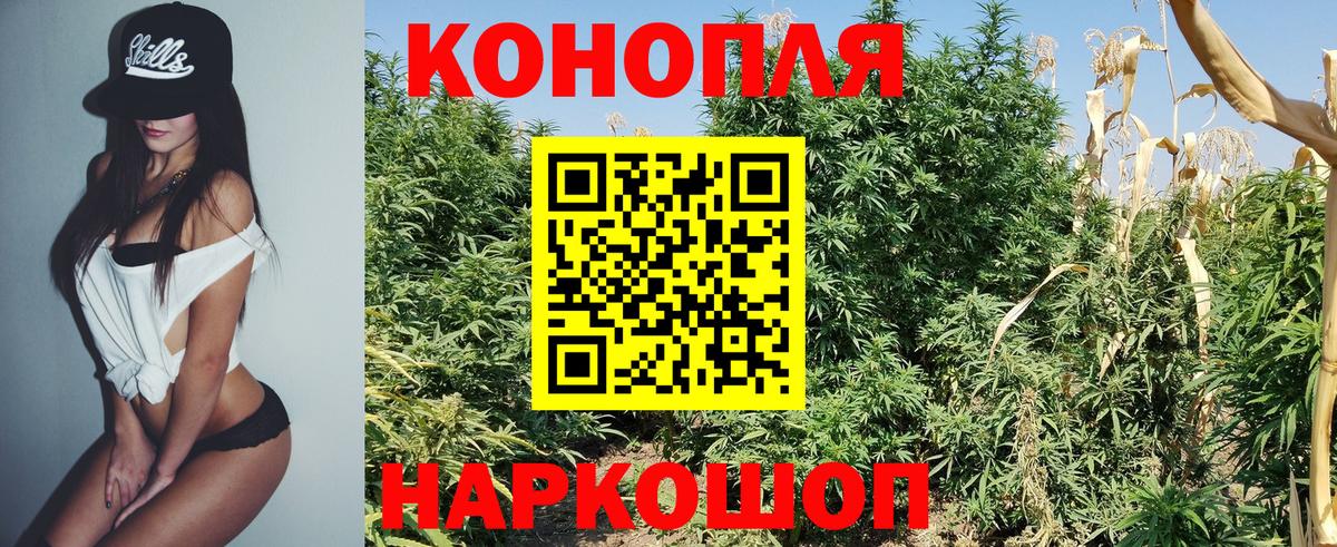 Кузнецк  Каннабис конопля  Конопля семена  Вход с VPN  Шишки марихуана сатива  Конопля гибрид 